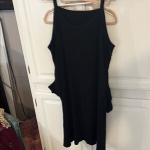 Elegant Black Sleeveless DressTerra & Sky 1X